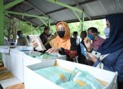 Pemerintah Aceh Salurkan 215.000 Masker Tahap Pertama