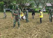 Dandim Simeulue Manfaatkan Lahan Kosong Tanami Singkong