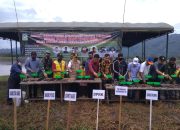 Aceh Besar Semai Benih Perdana Musim Tanam Gadu 2020
