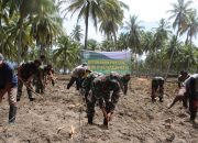 Kodim 0116/Nara Tanam Ubi dan Tanaman Pangan