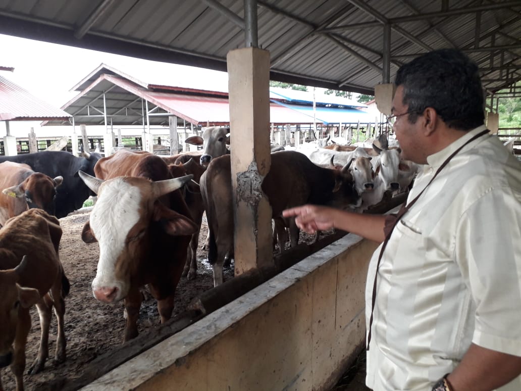 FOTO/ DOK OMBUDSMAN ACEH Tim Ombudsman Aceh melakukan investigasi langsung ke lokasi UPTD Inseminasi Buatan dan Inkubator (IBI) Dinas Peternakan Aceh pada Jumat (5/6/2020) ke Saree, Aceh Besar.