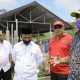 FOTO/ HUMAS PEMERINTAH ACEH Kepala Dinas Perternakan Aceh Rahmandi saat meninjau keberadaan sapi-sapi di UPTD IBI Saree, Aceh Besar, Sabtu (6/6/2020).