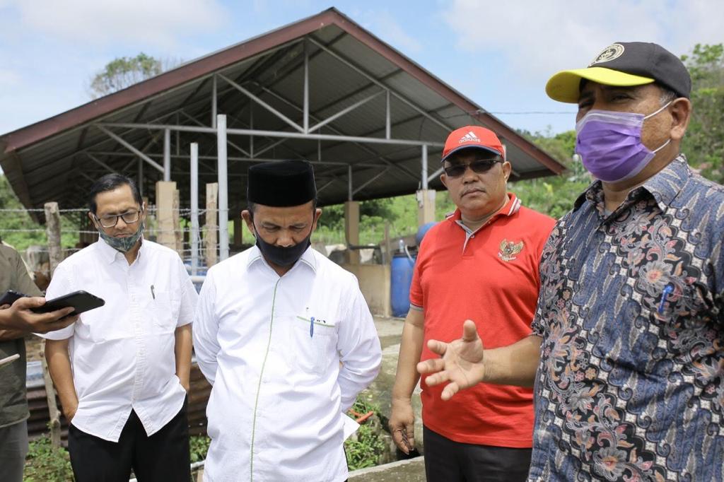 FOTO/ HUMAS PEMERINTAH ACEH Kepala Dinas Perternakan Aceh Rahmandi saat meninjau keberadaan sapi-sapi di UPTD IBI Saree, Aceh Besar, Sabtu (6/6/2020).