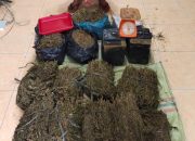 Polisi Gagalkan Penyeludupan Ganja Seberat 36 kilogram