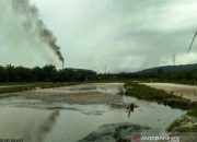 Walhi Desak KLH Aceh Usut Pencemaran Limbah Perusahaan Kelapa Sawit