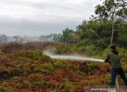 Enam Hektare Lahan Gambut di Aceh Barat Terbakar