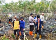 Kebakaran Lahan di Aceh Barat Meluas ke Kecamatan Johan Pahlawan
