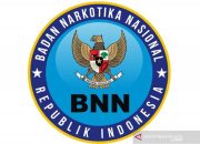 BNNK Aceh Selatan : Tidak Ada Bantuan Hukum Bagi Satpam Pembawa Ganja