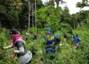 Jangan Dekati Ganja