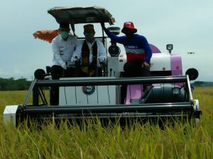 Menteri Pertanian, Syahrul Yasin Limpo didampingi Bupati Aceh, Besar, Mawardi Ali melakukan langsung pemotongan padi menggunan kenderaan mesin pemotong padi pada panen raya di Gampong Tumbo Baro,  Kuta Malaka, Aceh Besar. Foto : Sudirman Mansyur. 
