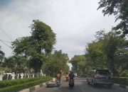 Asam Jawa Jalan Tembus