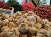 Harga dan Permintaan Bawang Putih Meningkat
