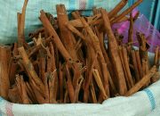 Harga Kayu Manis Tergolong Tinggi di Banda Aceh, 80 Ribu/Kg