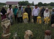 Persiapan Pembahasan Raqan Cagar Budaya, Dewan Tinjau Sejumlah Situs Bersejarah di Banda Aceh