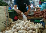 Bawang Putih Normal, Merah Mahal