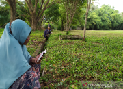 DPRK Banda Aceh: Mitigasi Bencana Penting untuk Kurangi Korban Jiwa