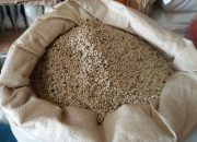 Merica Capai 110 Ribu/Kg, Hasil Bumi Lainnya Normal