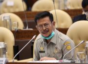 Tiga Strategi Ditjen PSP Kementan Percepat Serapan Anggaran di Lapangan