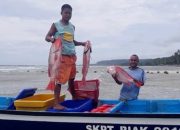 Sistem Produksi Masih Jadi Masalah Utama Pengembangan Perikanan di Pedesaan