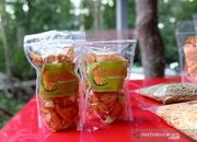 Puluhan Ibu Rumah Tangga di Riau Olah Biji Durian Jadi Keripik