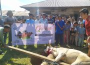 FDP Salurkan 79 Ekor Hewan Kurban ke Perbatasan Aceh