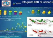 Kemenkes: Lima daerah duduki angka kasus DBD tertinggi 2021