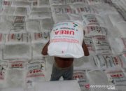 PIM Jamin Ketersediaan Pupuk Dukung Ketahanan Pangan Nasional