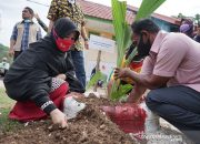 DPR: Komoditas Buah Kelapa di Pulo Aceh Potensial Dongkrak Ekonomi