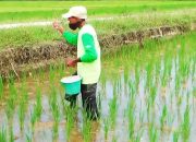 Aceh Utara Dorong Petani Milenial Manfaatkan Teknologi