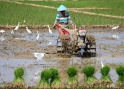 Aceh Sabet Penghargaan Abdibaktitani Utama Atas Inovasi Pertanian