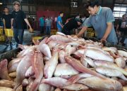 Anggota DPR: RUU Landas Kontinen Bakal Optimalkan Sumber Daya Laut