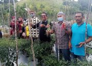 Kelompok Tani Binaan BI Aceh Hasilkan Empat Ton Cabai