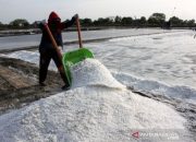 Disperindag Dorong Pengembangan Industri Garam di Aceh Barat