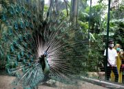 Kemenparekraf: Wisatawan Domestik Adalah Pahlawan