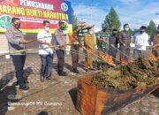 Hadirkan Tersangka, Polres Gayo Lues Musnahkan Ganja 59,75 Kilogram 