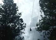 Listrik PLN Sering Padam Pelanggan Kecewa