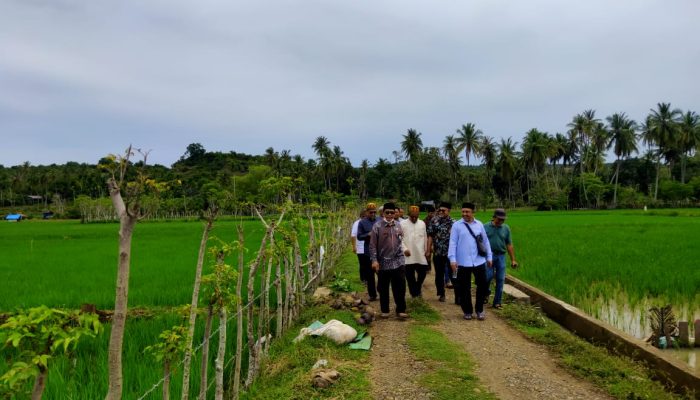 Kemenag Aceh Besar dan BWI Verifikasi 8 Persil Tanah Wakaf Jalan Tol