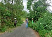 Dinas PUPR Galus Lakukan Pembabatan Rumput Dipinggir Jalan Kabupaten