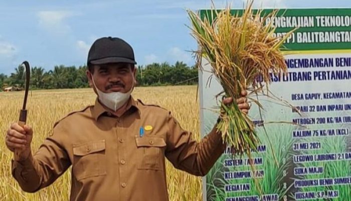 Produksi Padi Aceh Besar Capai 297 Ton