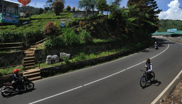 WALHI Minta Pemerintah Hentikan Laju Perluasan Industri di Puncak