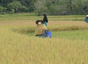 Warga Blang Miro Harap Pemerintah Aceh Besar Sediakan Sumur Bor