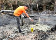 Sumur Minyak Tradisional di Aceh Timur Meledak, Satu Warga Tewas