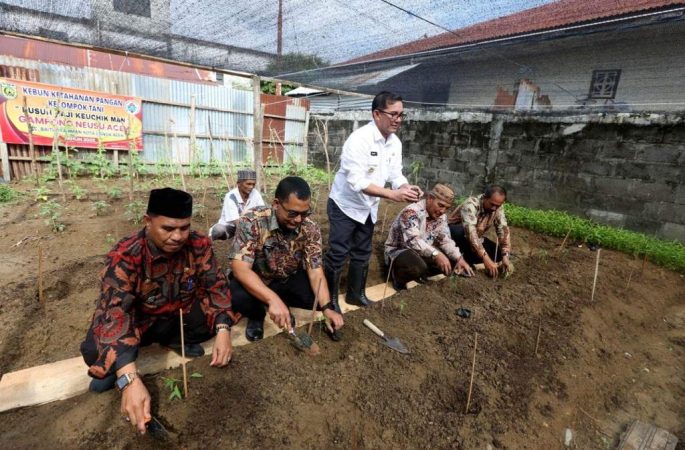 Wujudkan Ketahanan Pangan, Pj Wali Kota Banda Aceh Ajak Warga Manfaatkan Pekarangan Rumah