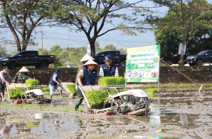 Pj Bupati Aceh Besar Awali Tanam Padi MT Rendengan di Indrapuri
