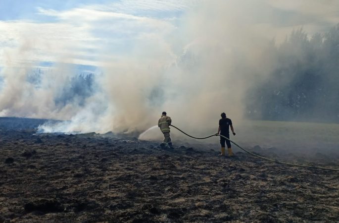 Lahan Sekolah Terbakar, BPBD Aceh Besar Lakukan Pemadaman