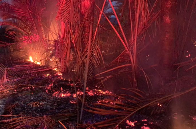 Bakar Sampah Berujung Petaka