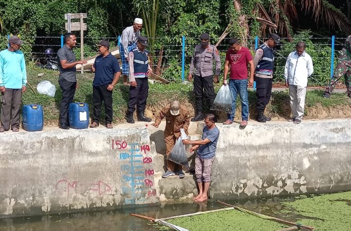 Camat dan Forkopimcam Darul Kamal Lepas 20 Ribu Bibit Ikan Lele di Gampong Teubaluy