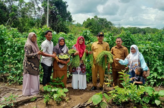 Kadistan Aceh Besar Panen Kacang Panjang di Teurebeh Kota Jantho