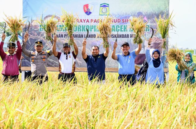 Pj Bupati Aceh Besar Bersama Danlanud SIM Panen Raya Padi MT Rendengan 2024 di Blang Bintang