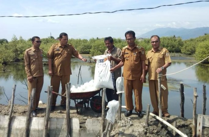 Camat Meuraxa Lepas Bibit Udang Vename di Blang Oi